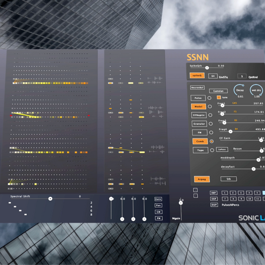 SSNN